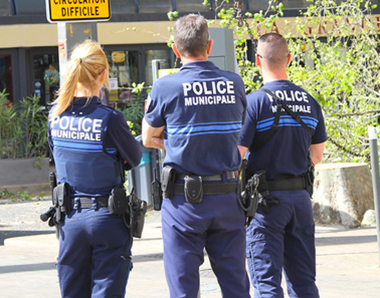 Police, gendarmerie, douanes...